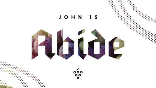 Graphic for the Abide sermon series based on John 15, featuring bold geometric text with vineyard imagery.